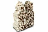 Swirling Polished Chocolate Calcite Bookends - Pakistan #334971-2